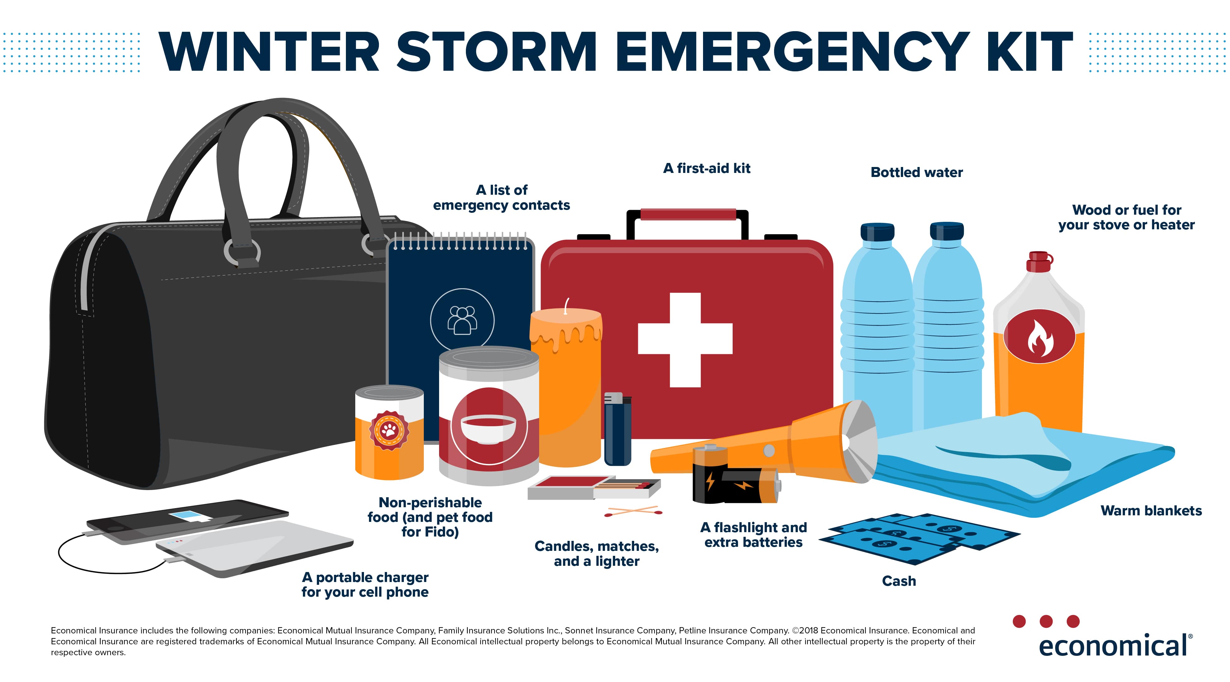 Winter storm emergency kit