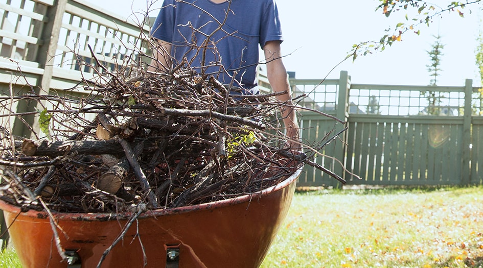 A man pushes a red wheelbarrow filled with sticks, as he cleans up his yard and garden for spring