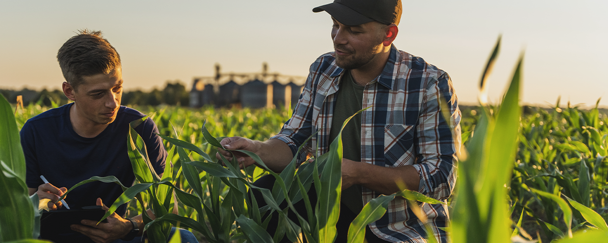 Two farmers having a conversation in a corn field