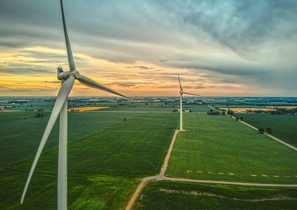 vue aérienne d'un parc éolien