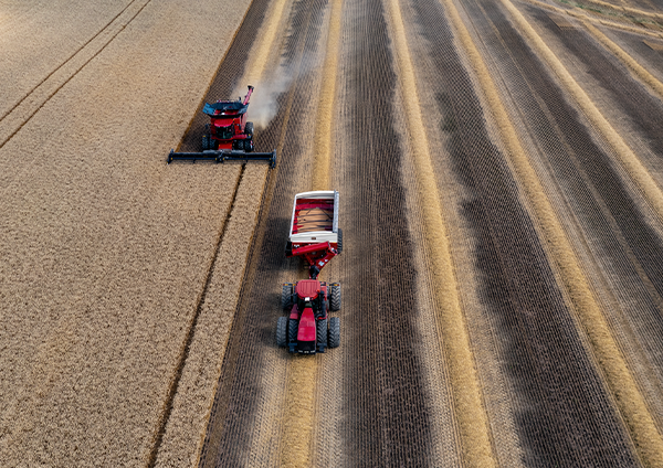  Tracteurs agricoles traversant un champ
