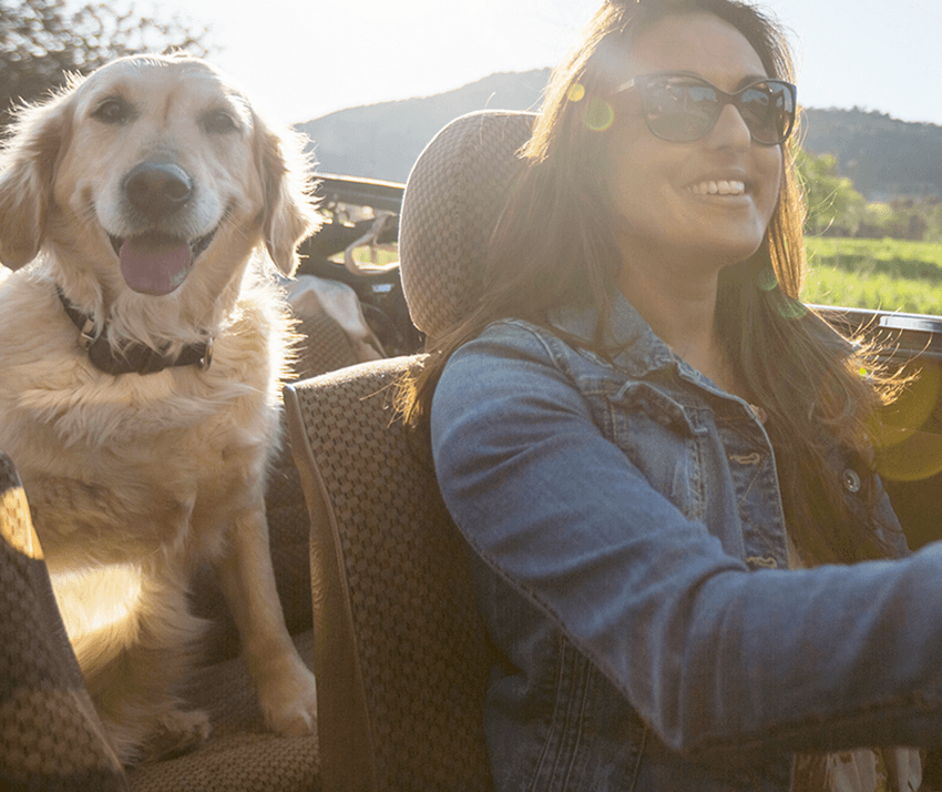 Woman and dog on a roadtrip
