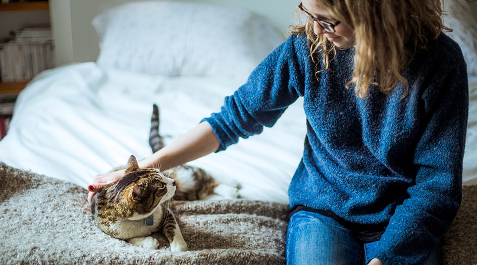 Une femme assise sur un lit flatte son chat pour illustrer comment vous pouvez protéger votre animal en cas d’urgence.