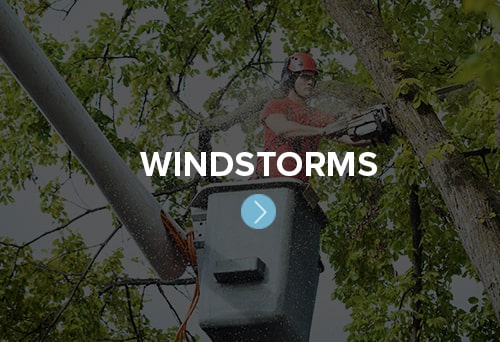 Before, during, and after a windstorm