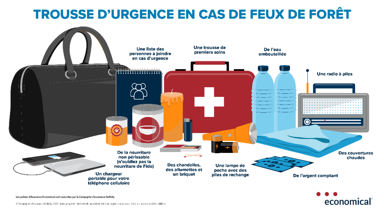 Infographie décrite ci-dessous